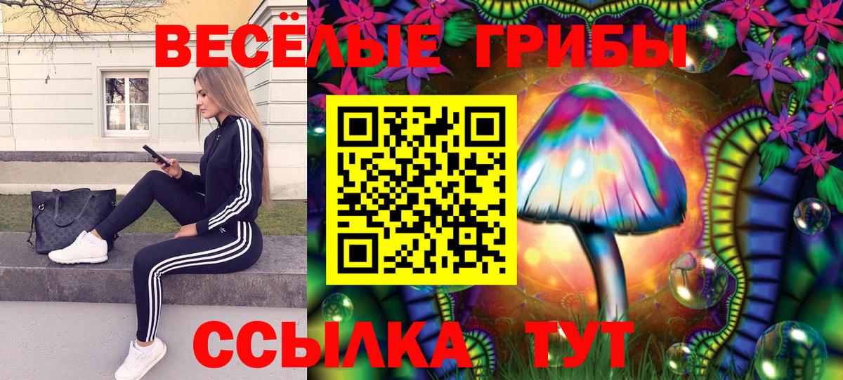 Галлюциногенные грибы мицелий Нарьян-Мар